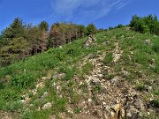 MONTE ZUCCO ad anello via linea tagliafuoco dalla Pernice (26magg22)- FOTOGALLERY